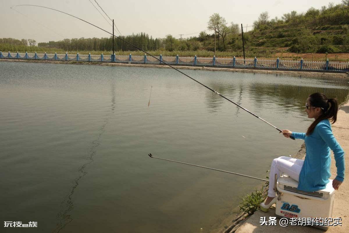 顶漂不中鱼什么原因(为什么会出现浮漂上顶却不中鱼的情况)-图片7